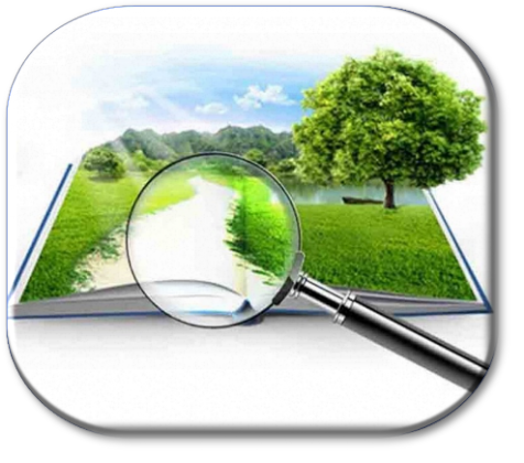land law